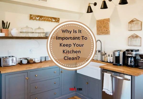 Why Is It Important To Keep Your Kitchen Clean?