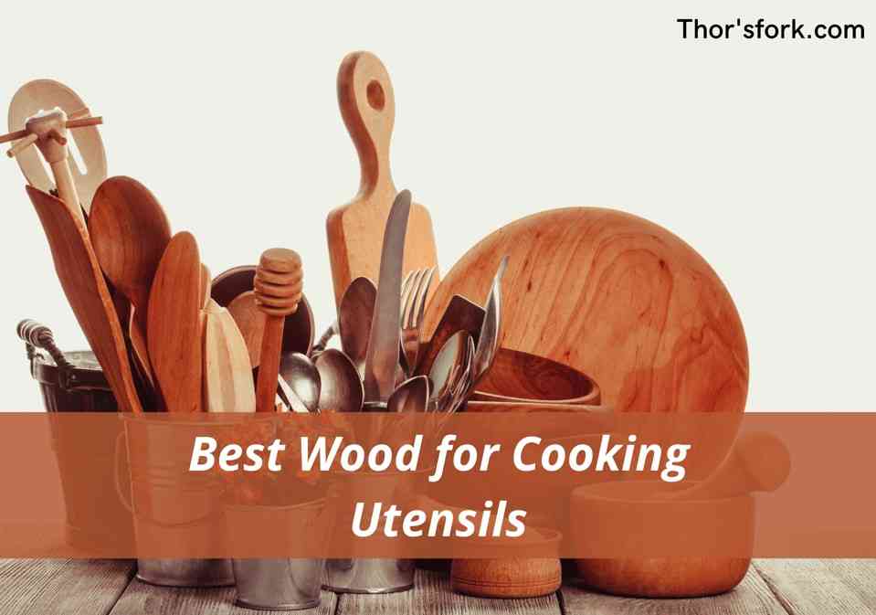 Best Wood for Cooking Utensils