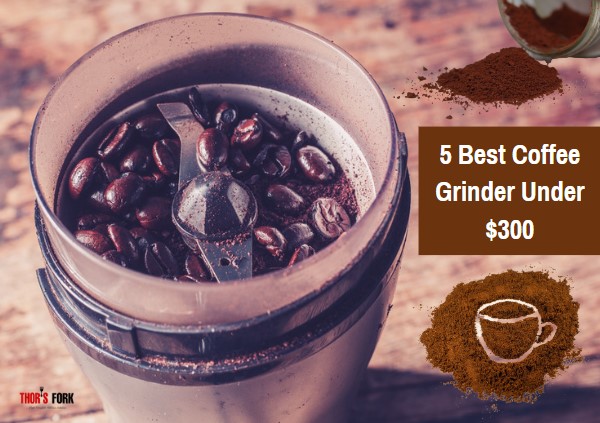 Best Coffee Grinder Under $300