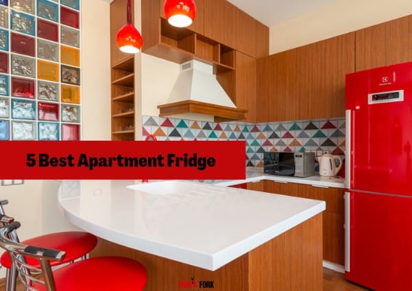 Best Apartment Fridge