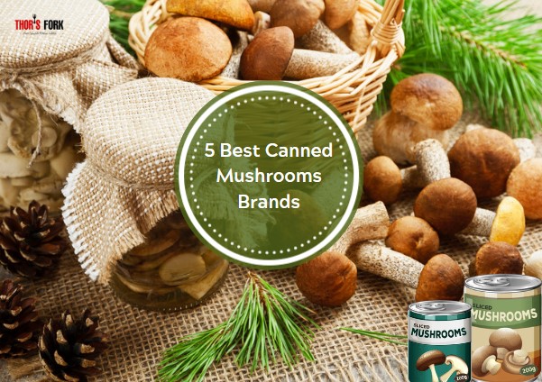 Best Canned Mushrooms Brands