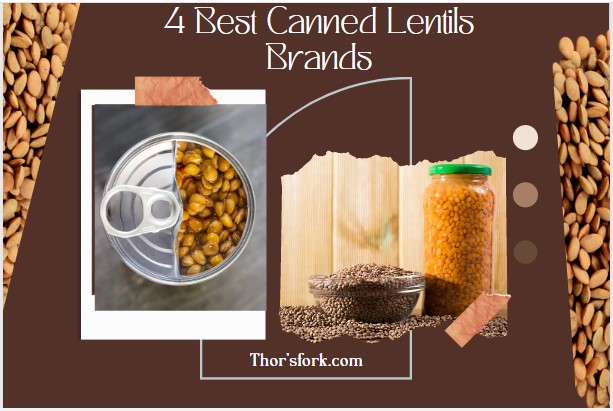 Best Canned Lentils Brands