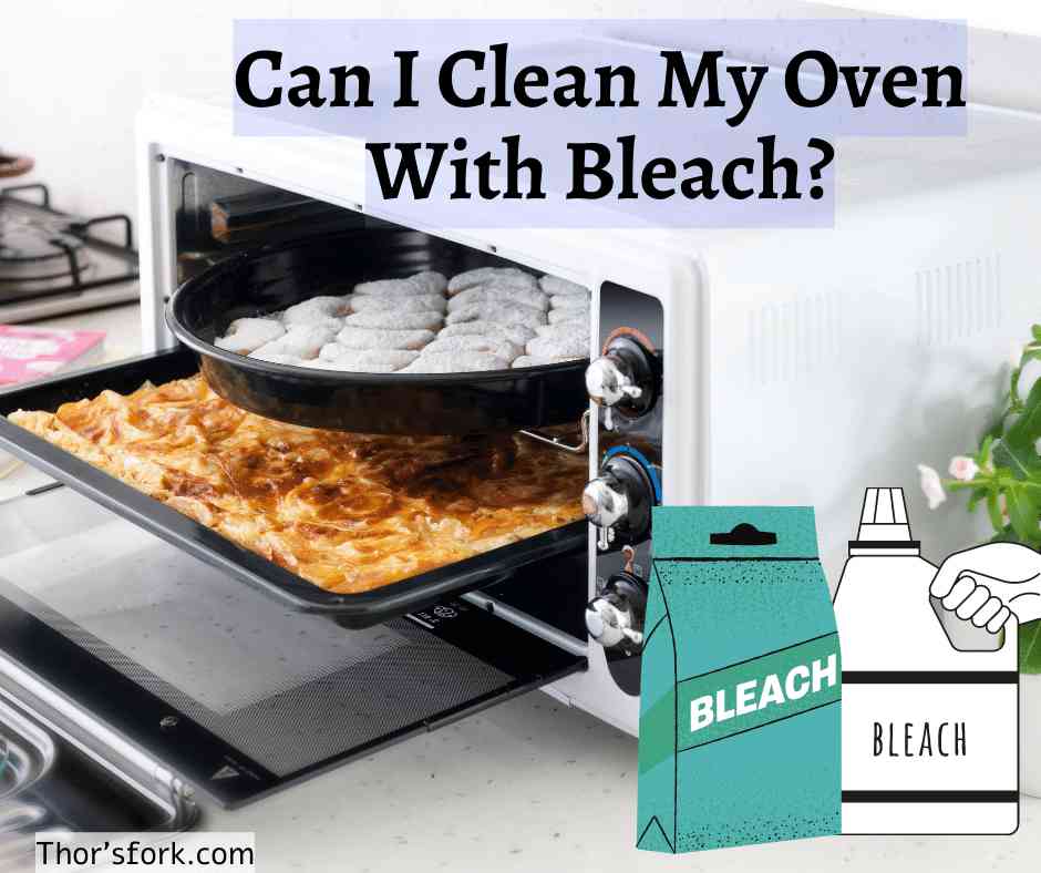 Can I Clean My Oven With Bleach