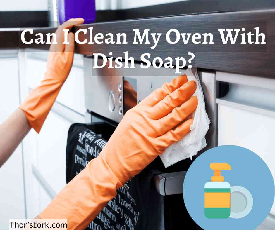 Can I Clean My Oven With Dish Soap