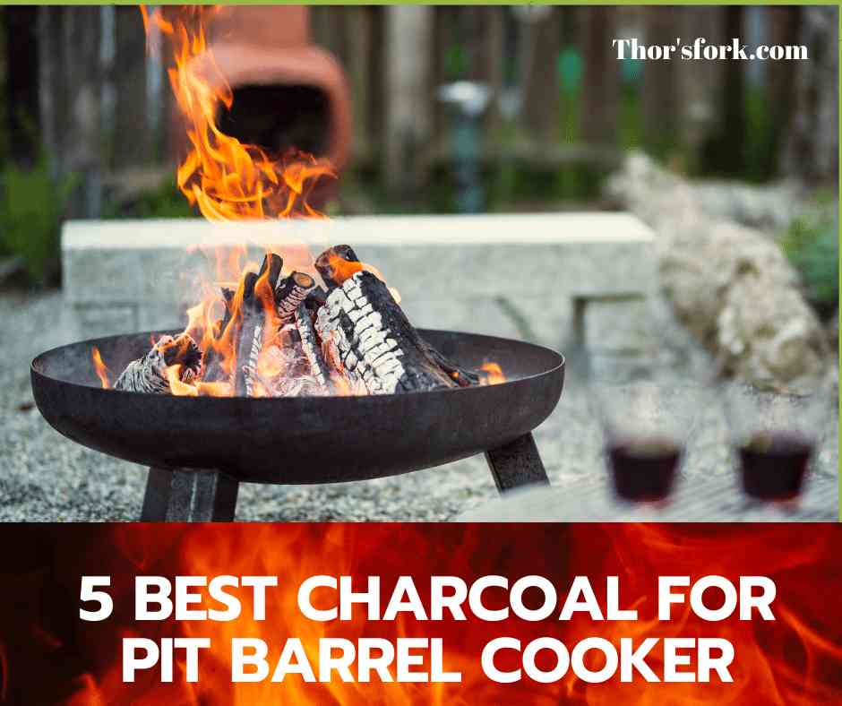 5 Best charcoal for pit barrel cooker