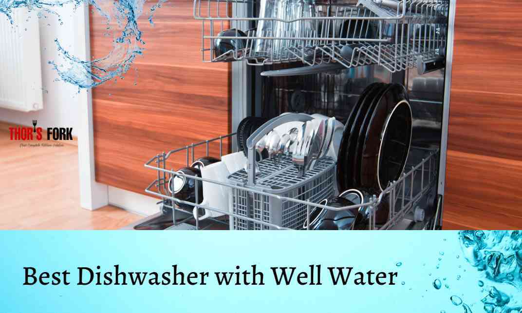 Best Dishwasher with Well Water
